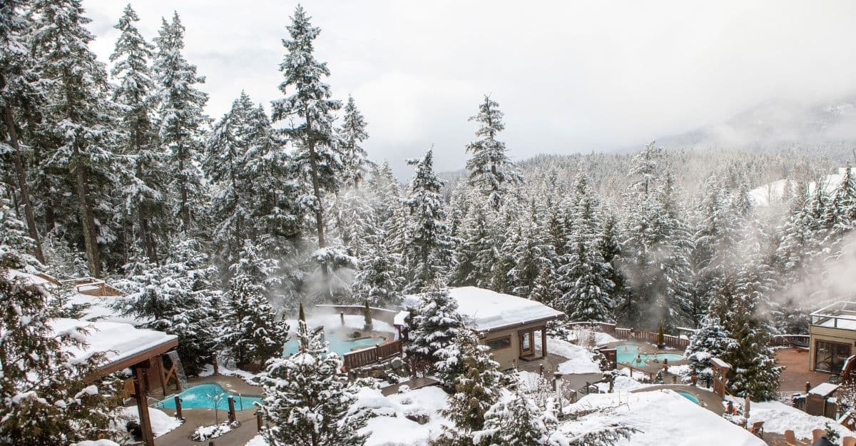 Outdoor thermal pools surrounded by snowy trees at Scandinave Whistler