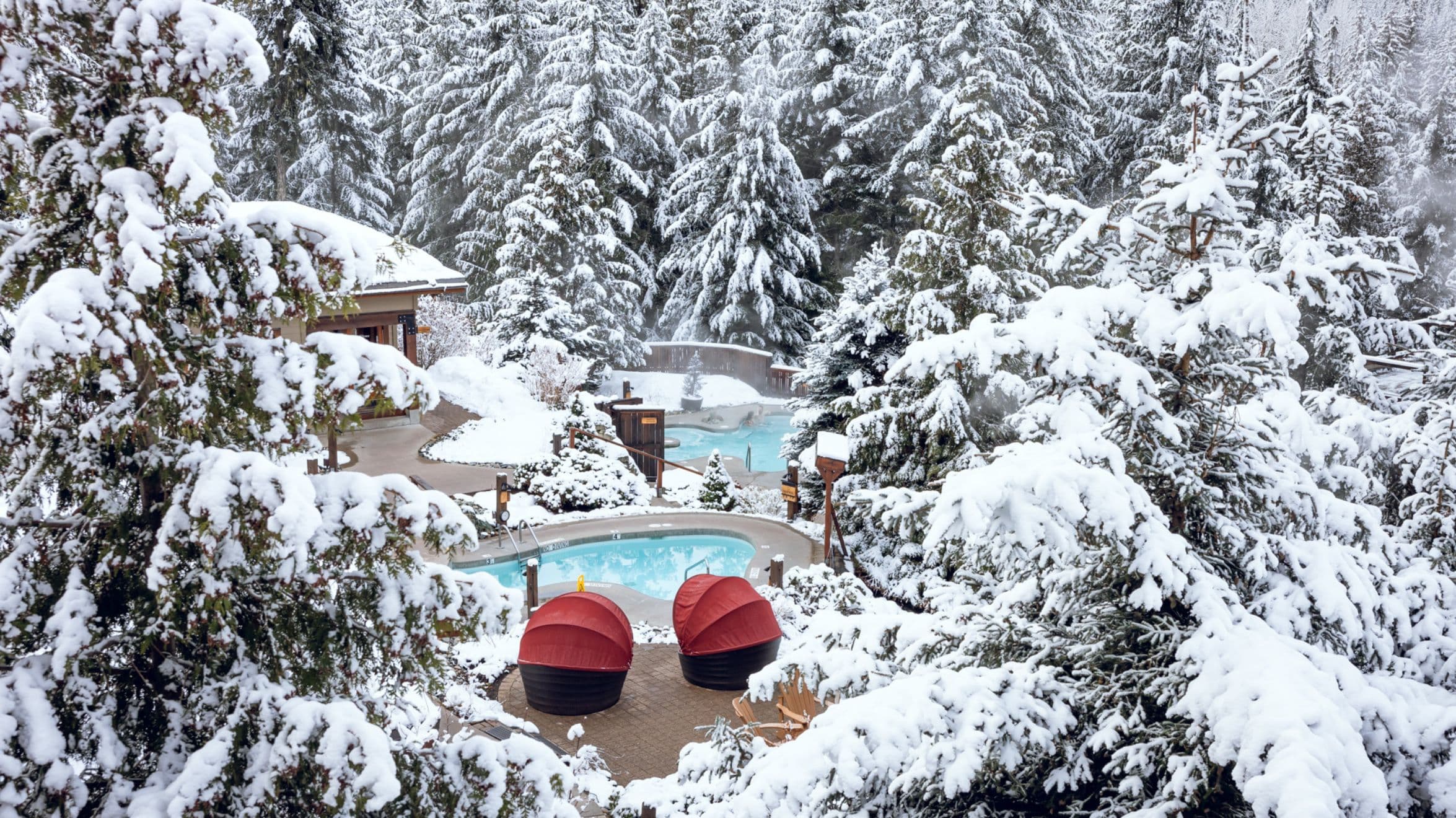 Scandinave Whistler's outdoor thermal pools surrounded by snowy trees
