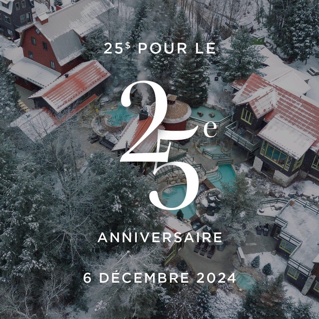 Promotion de 25 dollars pour le 25e anniversaire de Scandinave le 6 décembre 2024.