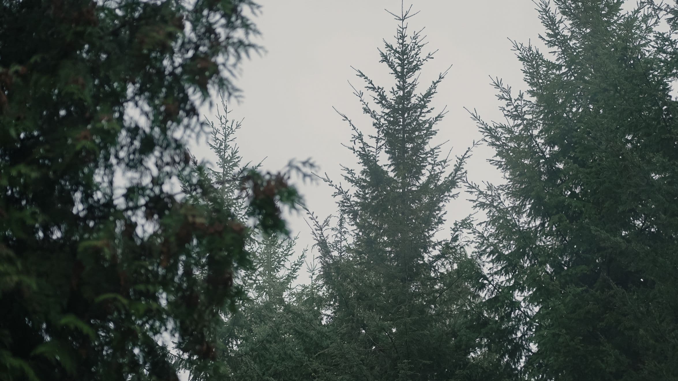 Déconnecté·e par choix : Guide de déconnexion numérique